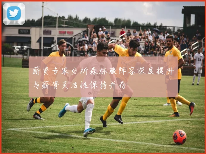 薪资专家分析森林狼阵容深度提升与薪资灵活性保持并存